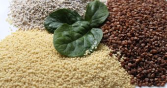 couscous-727492_1280